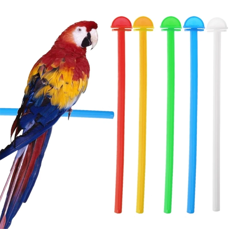 Plastic Perch Birdcage Training Stand Durable Grinding Chew Toy for budgerigar Parakeet Lovebird 5-Piece Color Random N1HF