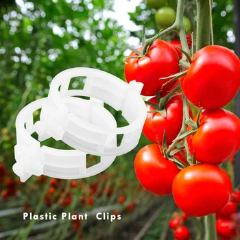 

50pcs Reusable Plastic Plant Support Fixing Clips Garden Greenhouse Vegetables Tomatoes Hanging Vine Clamps