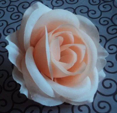 TB2IYUSgVXXXXbRXXXXXXXXXXXX_!!53598555.jpg_400x400