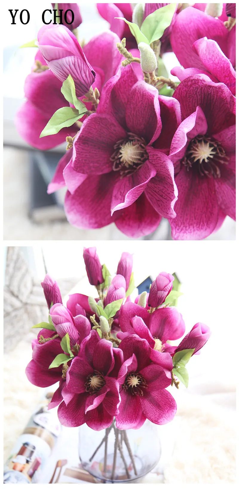 4293663944_1885843273