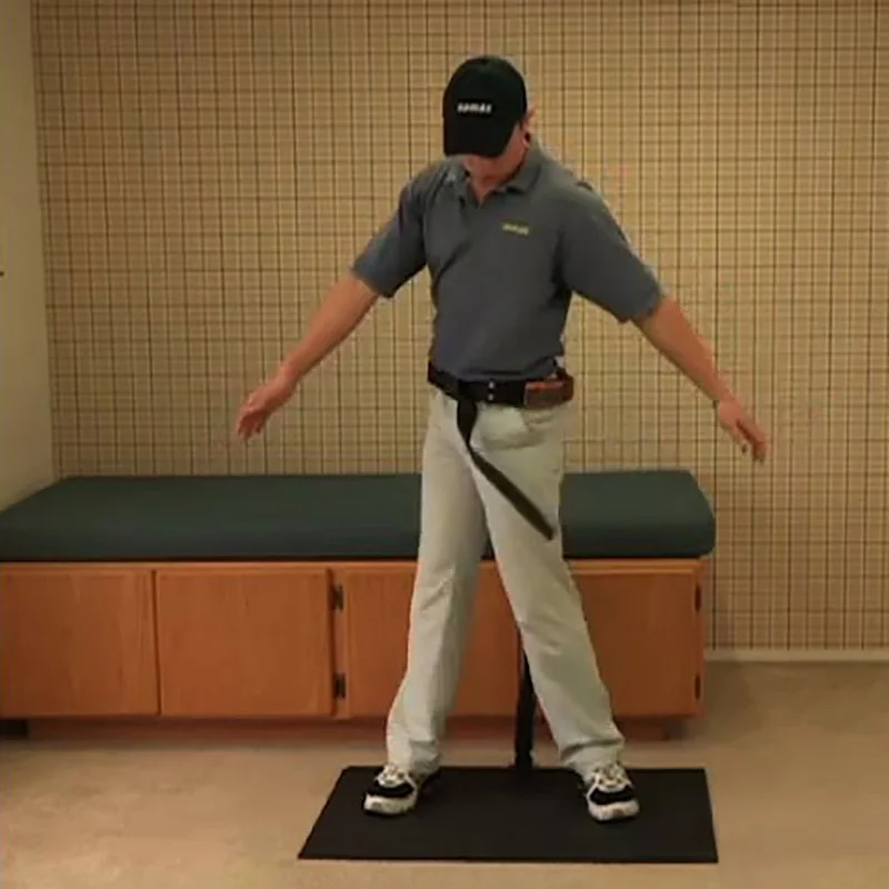 Lateral Step Downs visitchile.cl