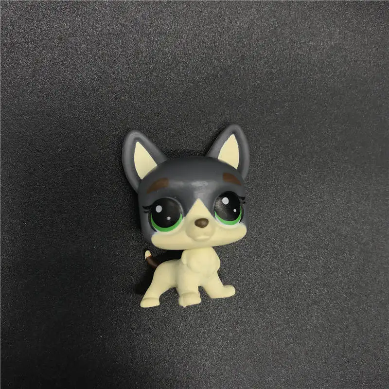LPS фигурка игрушки животного игрушка котенок пони пуп мультфильм фильм Животное