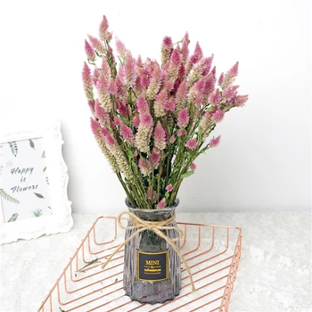 

10Pcs Impatiens Natural Small Dried Flowers And Dried Fruits Flower Arrangement Diy Artificial Flower Plant Wedding Home Decor