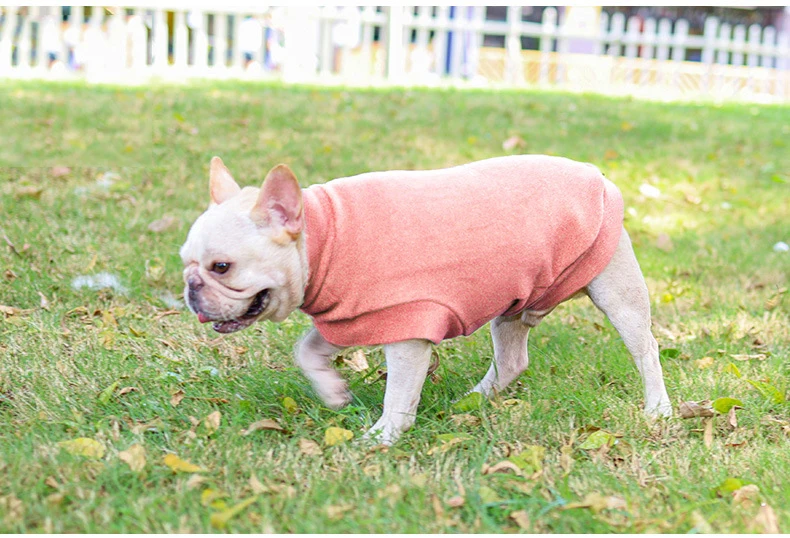 Dog Cat Clothes Leisure Dogs Hoodies French Bulldog Sphinx Autumn and Winter Warm Clothes Puppy Cat Shirts For Dog ropade perro