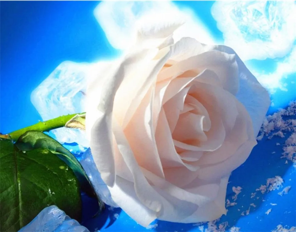 360截图20200522165145287