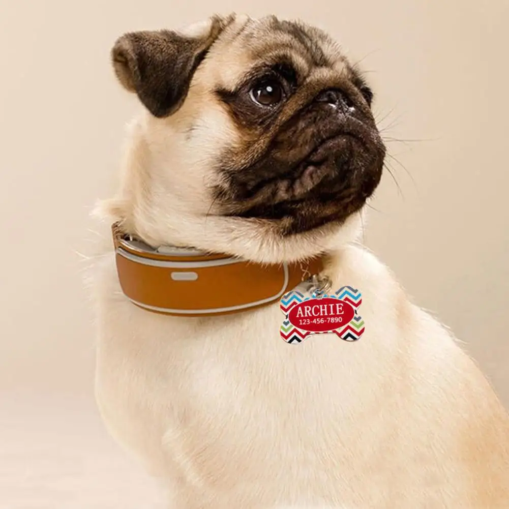 Собака Щенок кошки ID Имя идентификационные бирки кости кулон анти потеря