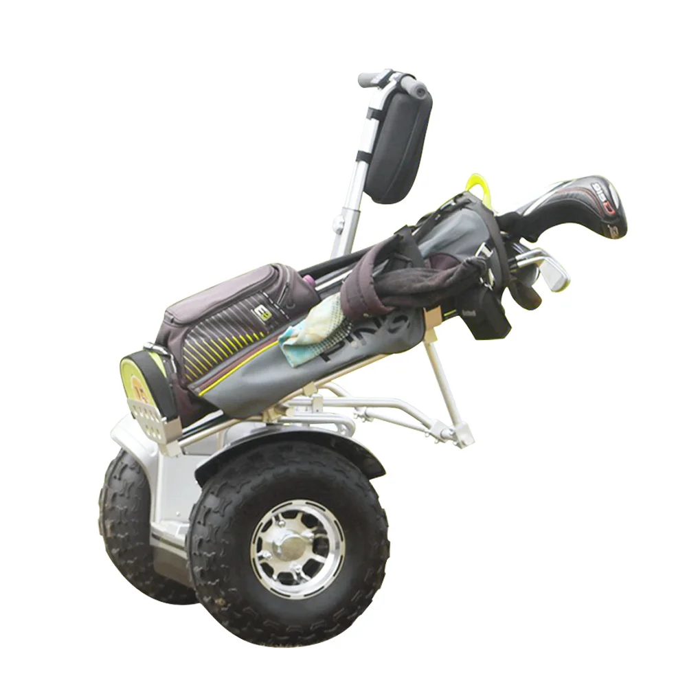 Eu Stock Electric Scooters Two-wheel Off-road Smart Balance 19 Inch Self Balance ES6 Golf Bag Holder Made Of Alu Eswing Scooters