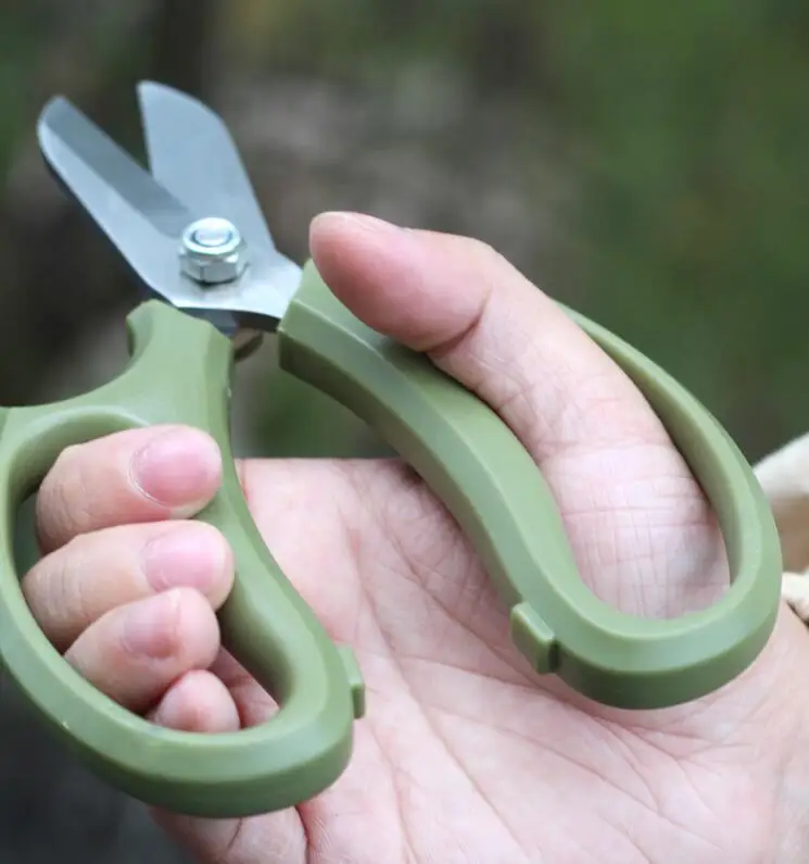 QQ截图20190813100522