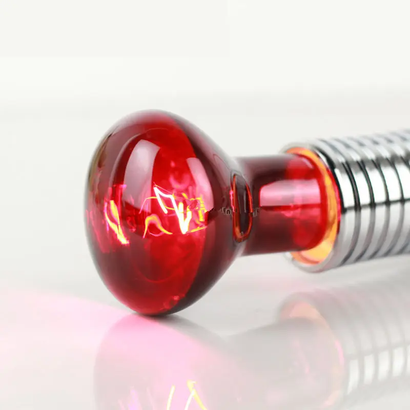 4427392127_795316667_