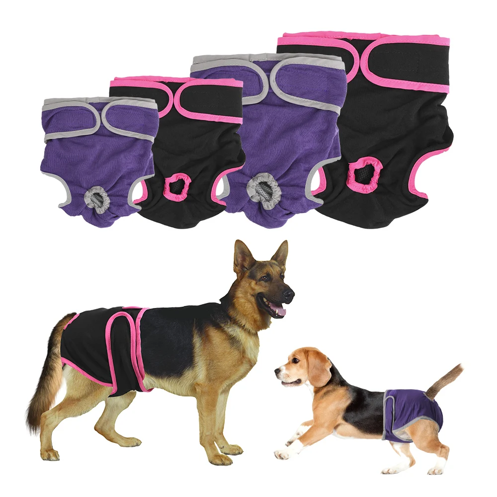PhysiologicalPantsPetUnderwearPuppyDiaperFemaleDogShortsFor