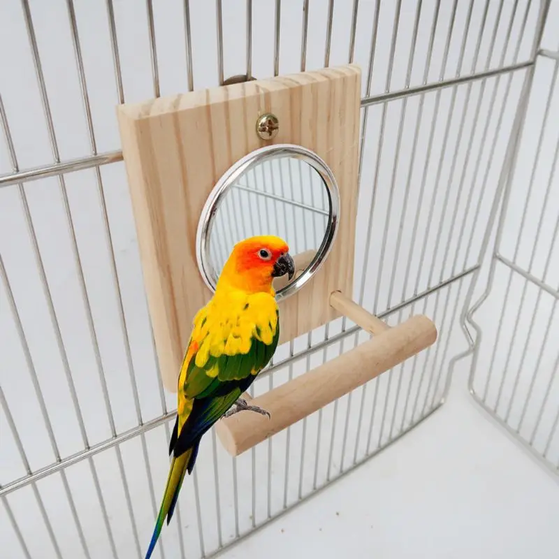 Птичье зеркало с деревянным окунем забавная платформа подставка деревянные игрушки для попугаев