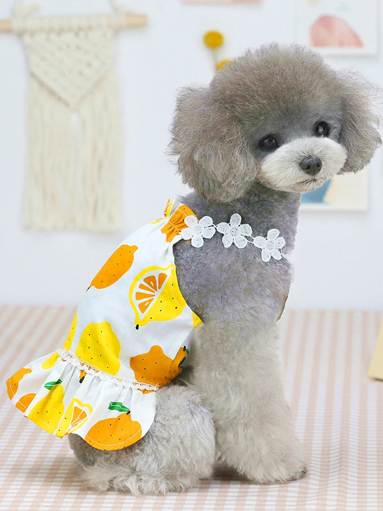 かわいいフルーツ犬ドレス春夏ペット犬服犬フルーツレモン柄二本足スリングドレスフリルベストドレス Cat Clothing Aliexpress