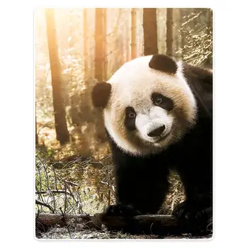

HommomH blanket throw comfortable warm soft plush throw sofa forest cute panda