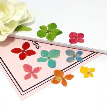 

12PCS Beautiful Pressed RealDried Flowers for Art Craft Scrapbooking Card Making Resin Mold Filler