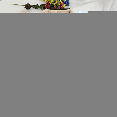 apricot Gagarich Женская куртка на молнии дизайн Осень Зима Новая Корейская версия одноцветное свободное Теплое повседневное пальто Топы - Цвет: apricot