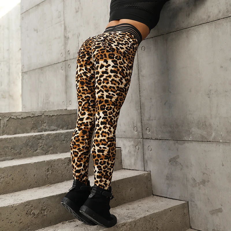 HTB1Cr8IadfvK1RjSspfq6zzXFXa6