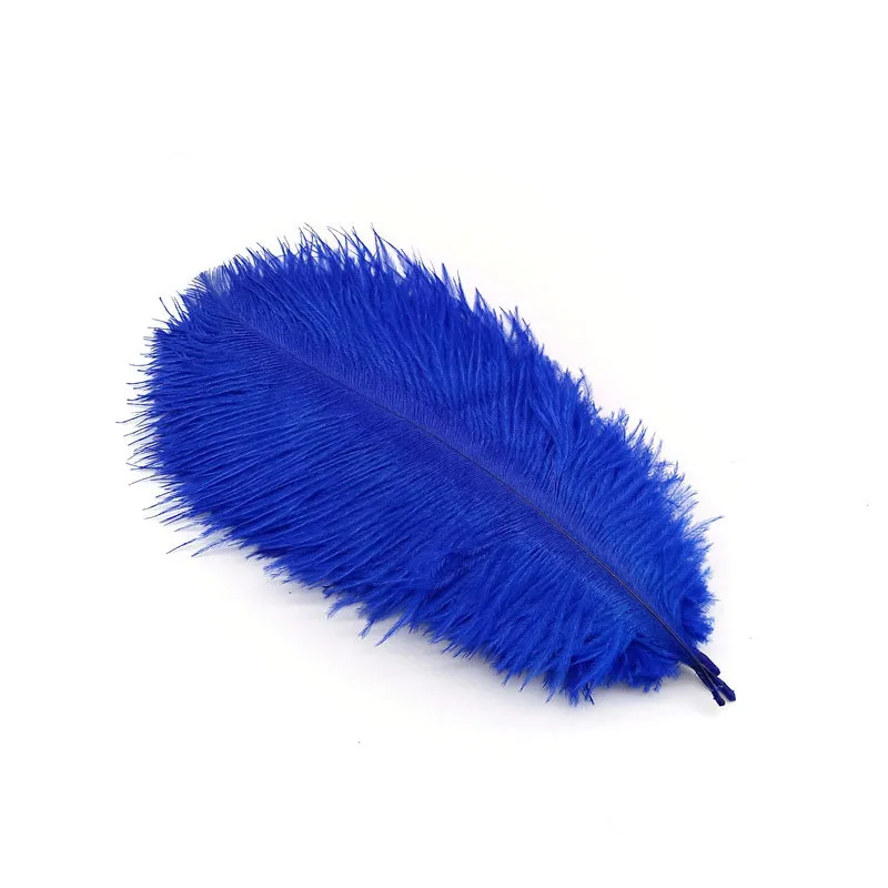 Royal Blue feathers