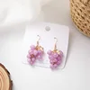 Summer Sweety Fresh Purple Grape Earrings Temperature Simple Style Cute Fruit Accessories Oorbellen Boucle D'oreille ► Photo 2/5
