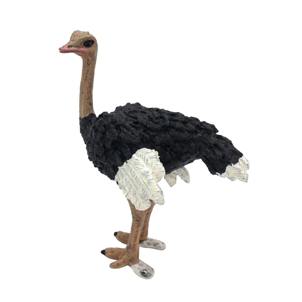  Figurines Animals Model Action Figures for Kids Collection Toys Ostrich Teaching Animal Model Photo - 4000186704809