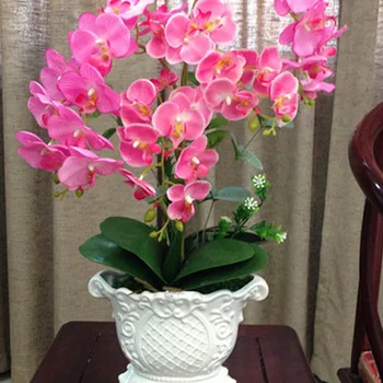 

High Imitation Butterfly Orchid Imitation Flowers Preserved Fresh Flower Potted Plant Teapoy Table Decorations and Ornaments