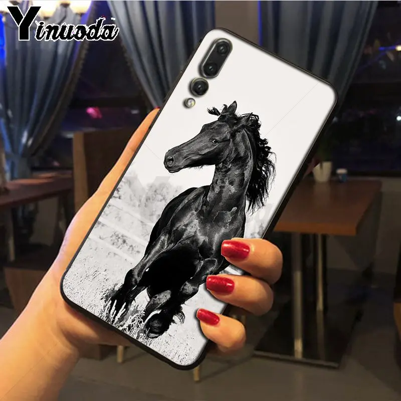 Hot running Horses animal