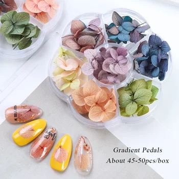 

7 Colors Natural Dry Flower Diy Nail Design Nail Art Sticker Lovely Flower Nail Beauty 3d Decoration Tool Sticker For Manicure