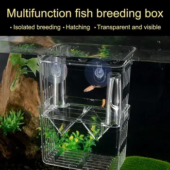 

Fish Breeding Box With Suction Cups Transparent Hatchery Aquarium Tank Isolation ABS Material Self-floating Desi Safe And Secure
