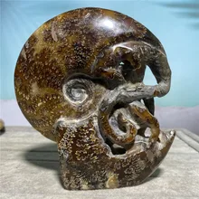 Koncha Fossil statua z kamienia naturalnego uzdrawiające kryształy Feng Shui Reiki Wicca próbki minerałów prezenty pamiątkowe Living Home Decoration