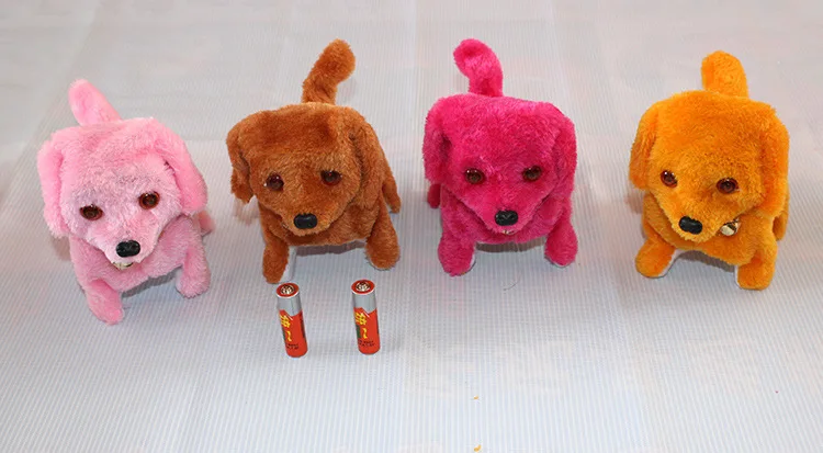 2859641074_748380050