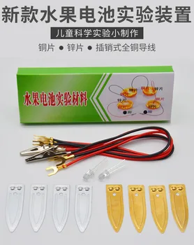 

Fruit Power Science Experiments Cola Fruit Battery Experiment Material Pin Electrode Material Zinc Sheet Copper Sheet