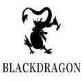 BLACKDRAGON Store
