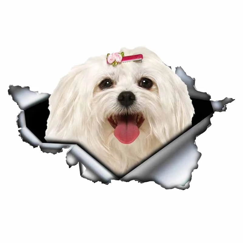 

Creative Cute Maltese Car Sticker Pet Dog Car Decoration Torn Metal Decal Sunscreen Sticker Waterproof Accessories,13cm*6cm