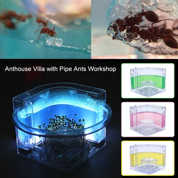 

Ants House Ant Farm Colorful Funny Pet Toy Luminous Specially Decoration Kids Gift Ant Nest Art Habitat 10.8CM Villa Insect