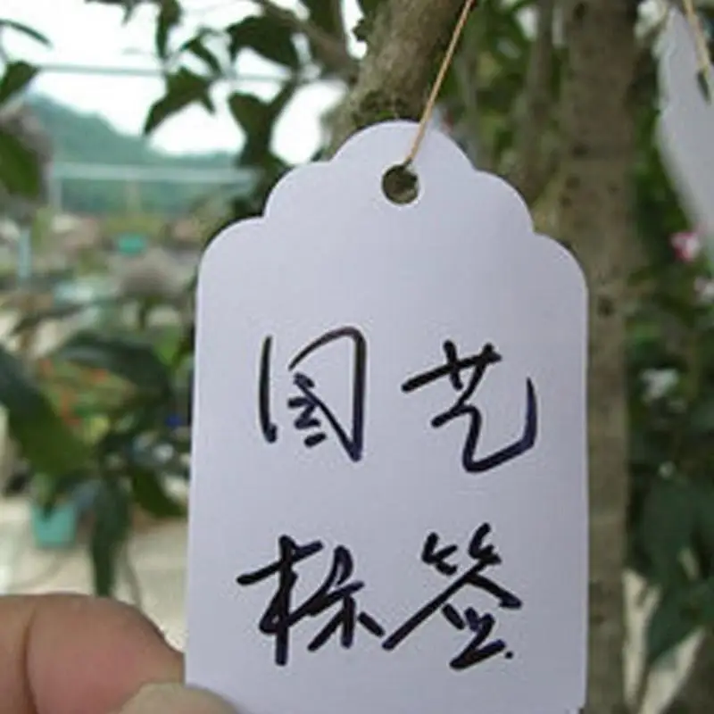 100 шт Водонепроницаемый полосы линии садоводства надписи подвесные бирки для растений серый