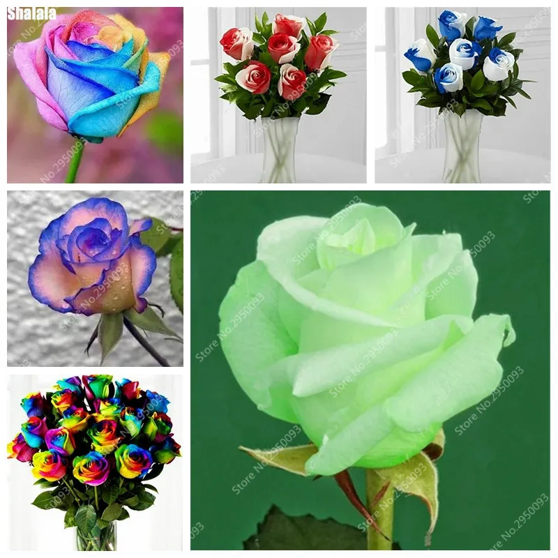 Artificial Flowers Planters 100 rose | Дом и сад