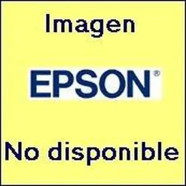 Аксессуары и услуги Epson (CP03OSSECD66)-03 Spot Sc-T3200 | Компьютеры офис