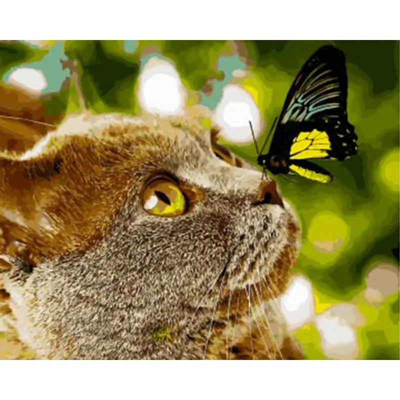 

SELILALI DIY Framed Painting By Numbers Kits For Kids Unique Gift Butterfyl On Cat Animal Oil Picture By Number Diy Home Decor