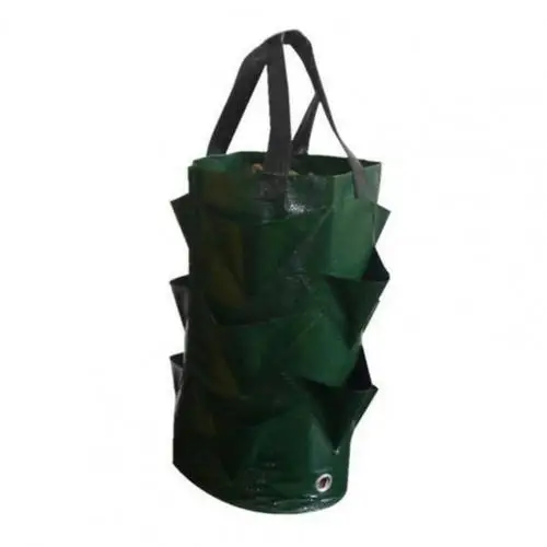 blackish green