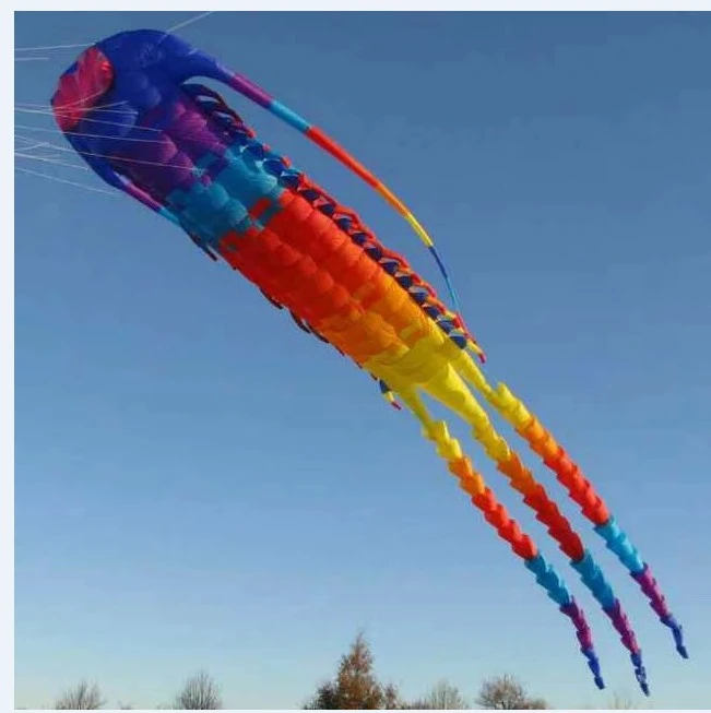 Huge 3d Windsock Large Kite Trilobite Kite Cerf Volant Vlieger Fun Factory Big Kite Flying Kites For Adults Cometas Para Adultos Kites Accessories Aliexpress Huge 3d Windsock Large Kite Trilobite Kite Cerf Volant Vlieger Fun Factory Big Kite Flying Kites For Adults Cometas Para Adultos Kites Accessories Aliexpress