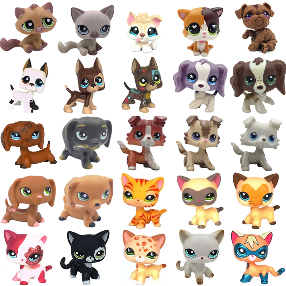 lps kitty