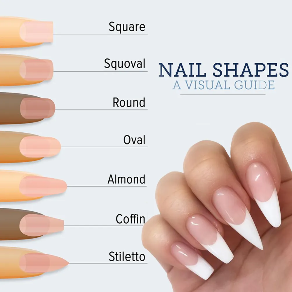 Different Nail Shapes And Names For Your Manicure Types Of Nail Shapes |  100 Pcs Nail Shape Nail Extension Tips Self Adhesive Art Nail Tips Diy  Tools For Women Girls Nail Gel
