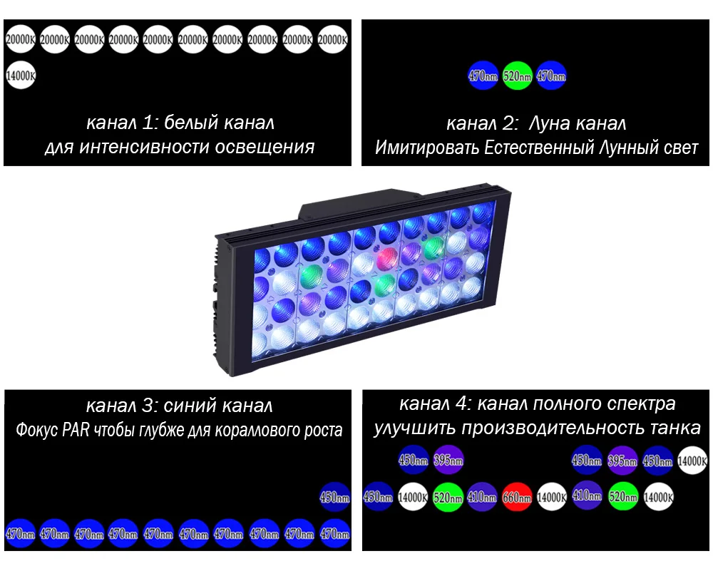 LED Layout1