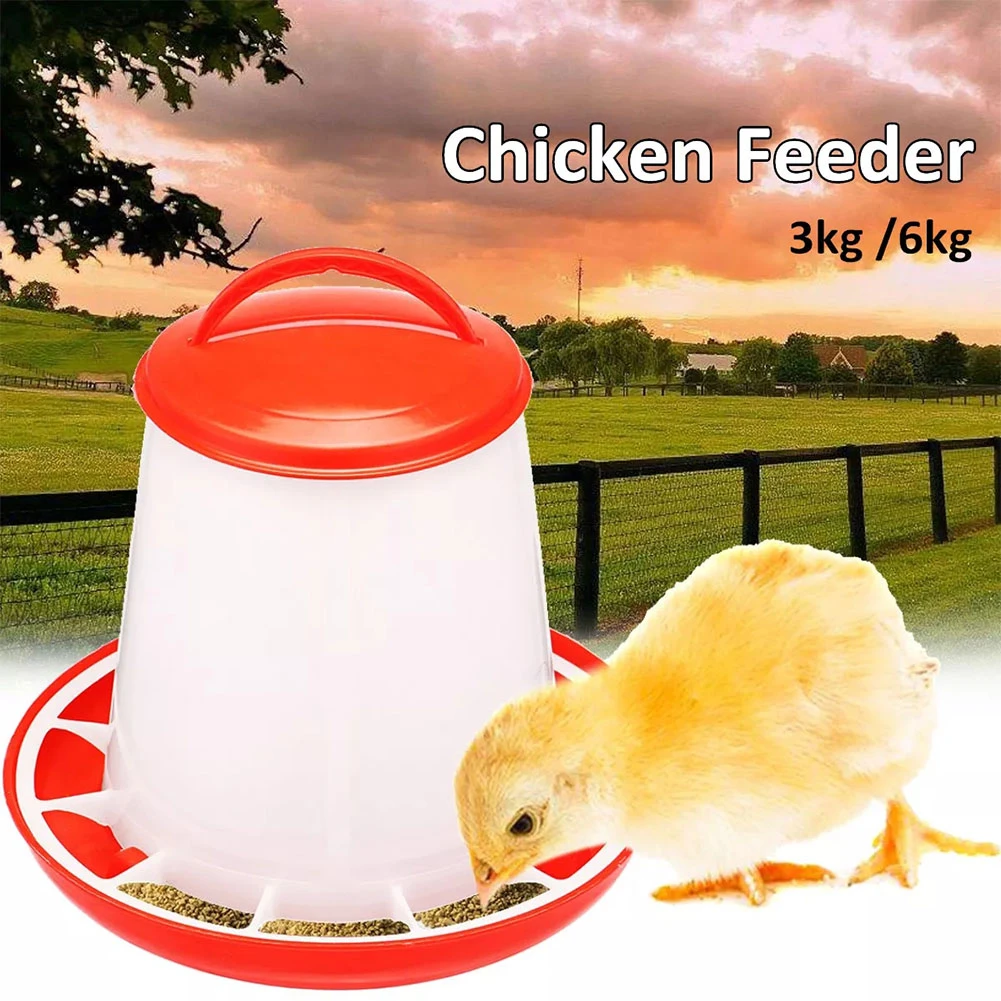 farm animal food store