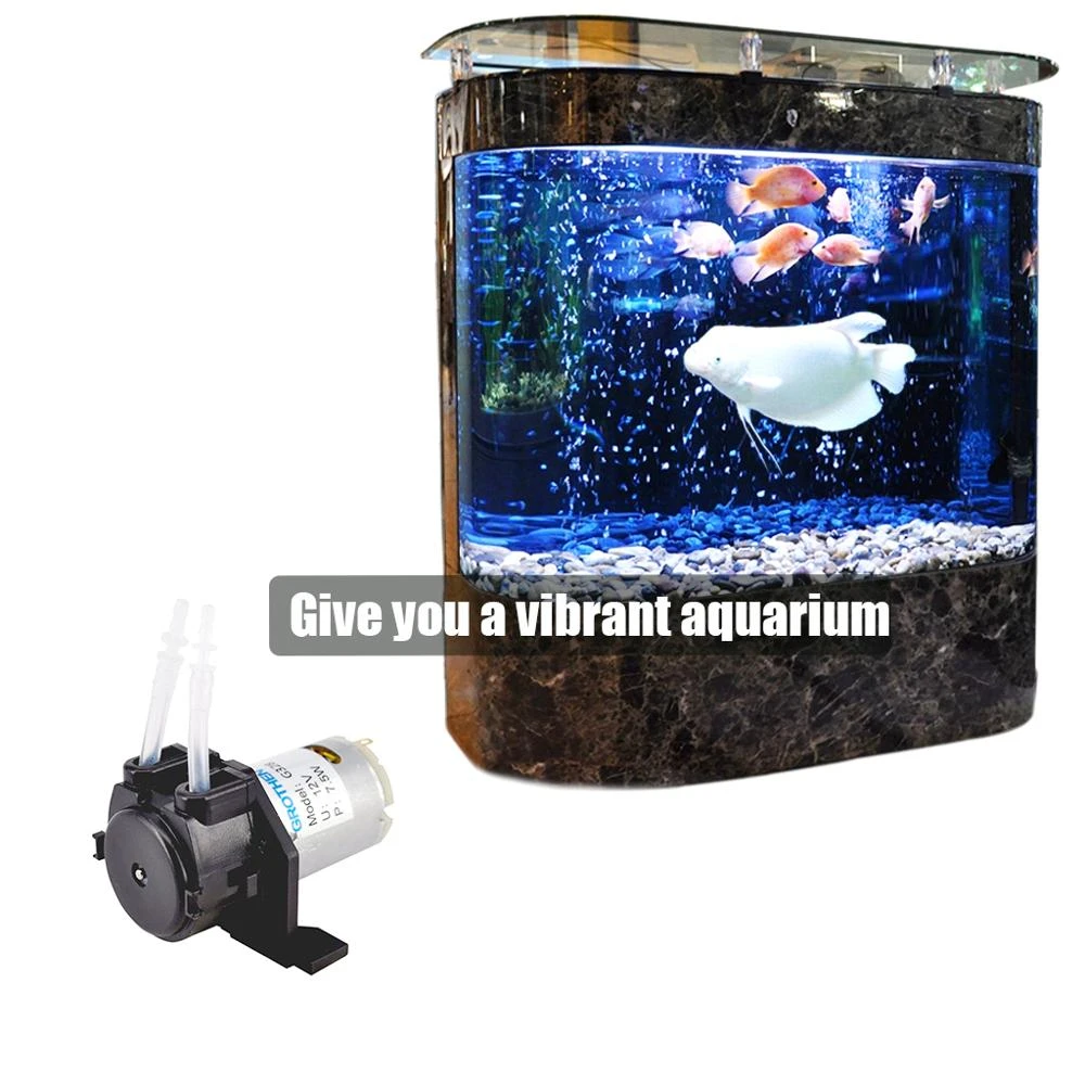 12v Peristaltic Diy Aquarium Chemical Dosing Pump Tube Head Aquarium Accessories Aeration Pump Dropshipping Water Pumps Aliexpress