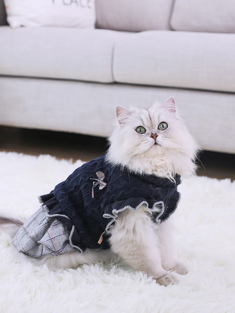 cute kitten clothes