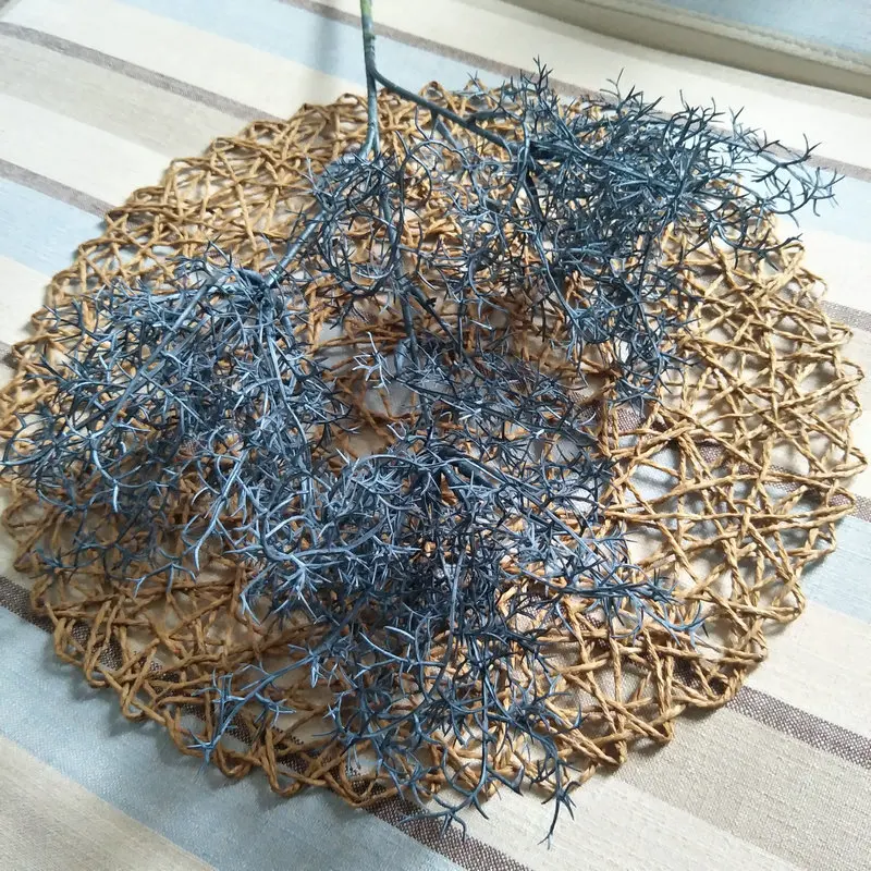 11879296642_1611482457