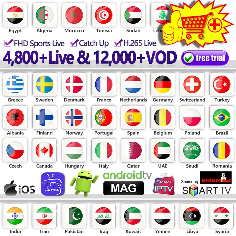 

Europe IPTV Subscription IPTV France Dutch Spain Portugal IPTV Code for M3U Android IP TV Arabic Canada Belgium Italy IP TV