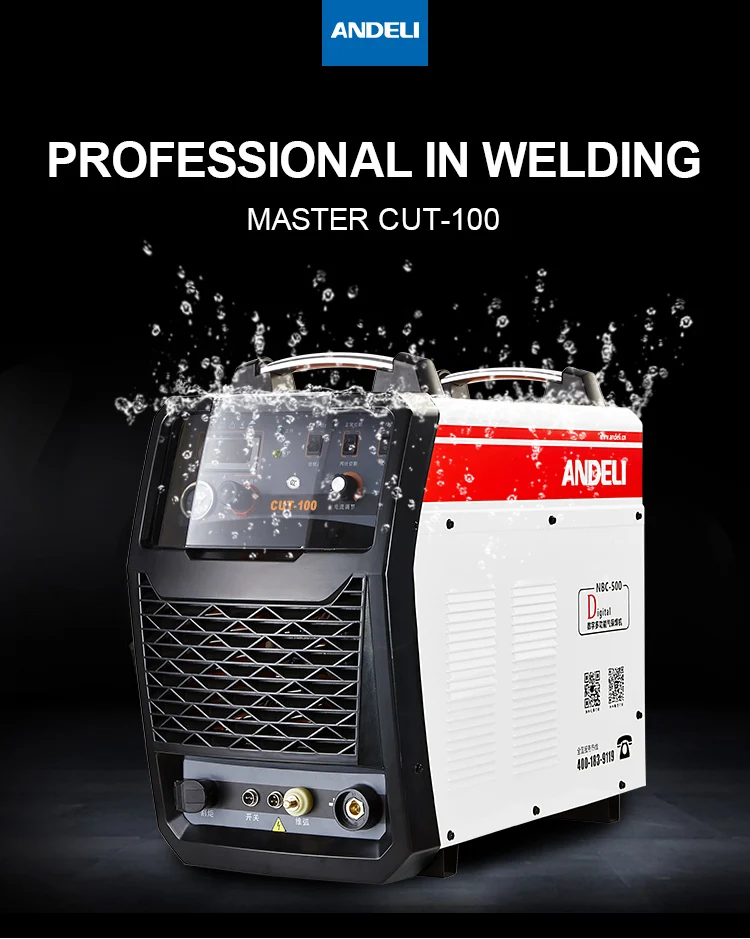 cut-100_02