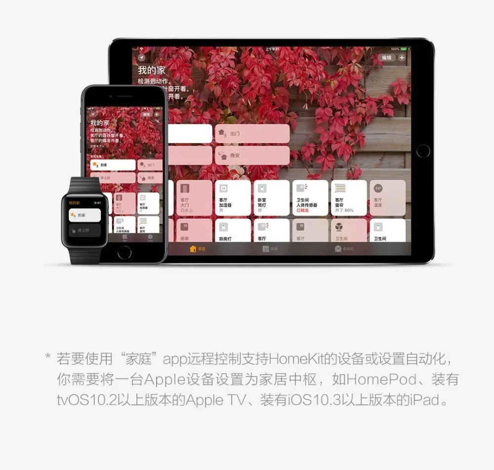 img_id=shop_c0b31b80a1818e3c19bb30137688160a