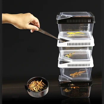 

Reptile Snake Lizard Tarantula Frog Breeding Box Feeding Habitat Container Tank